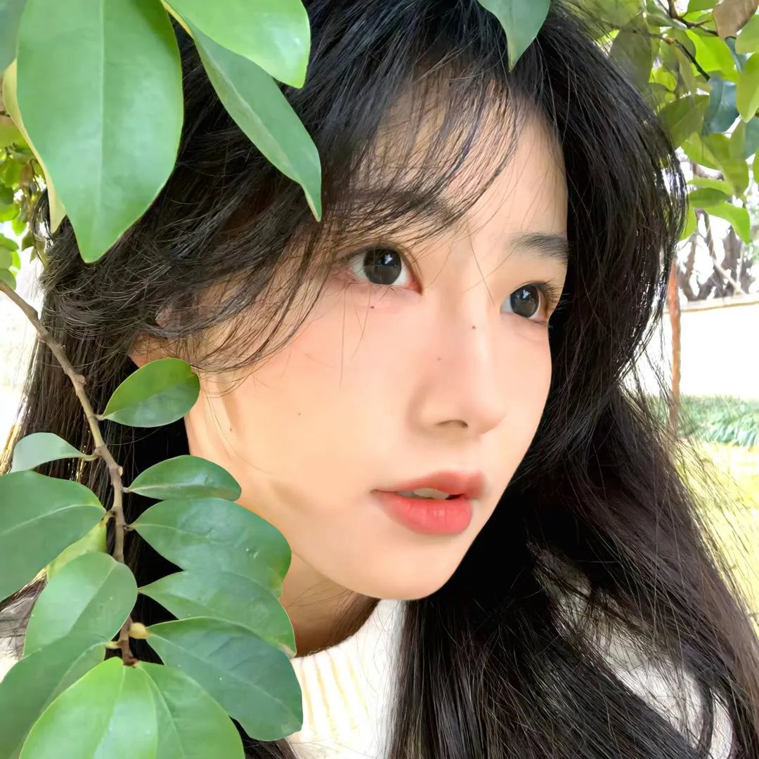 连锁大阴谋